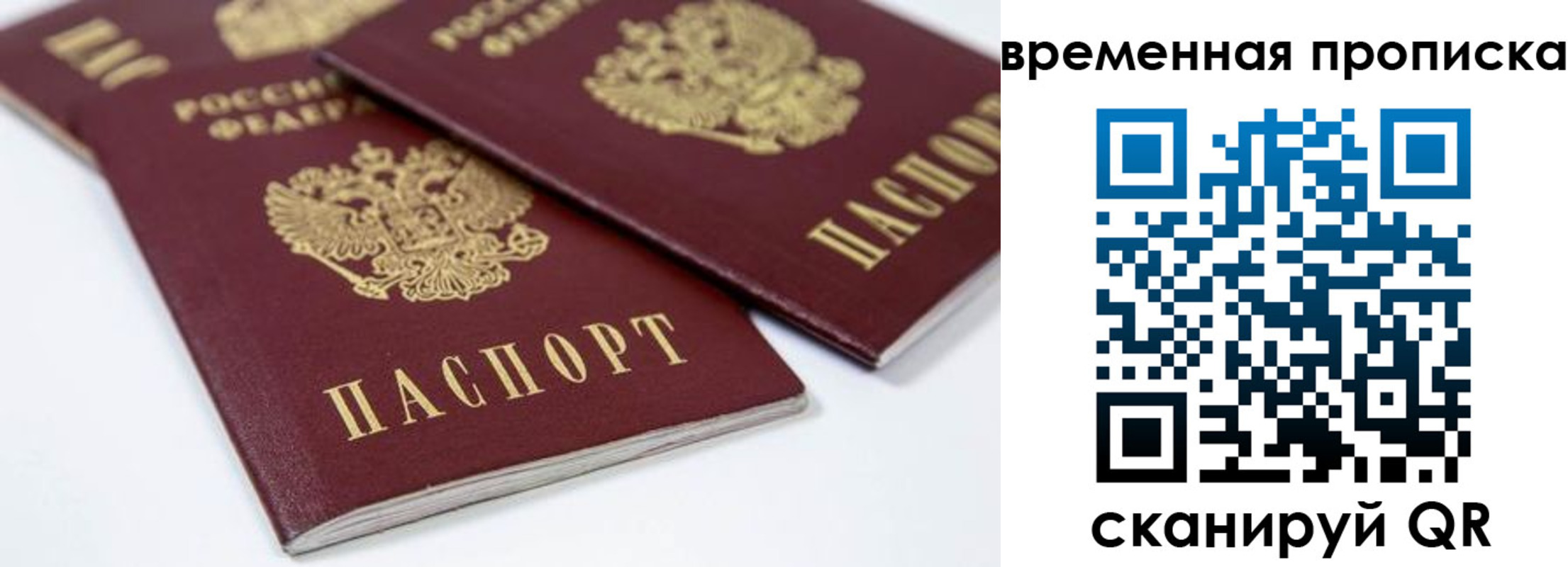прописка для школы в Тайге